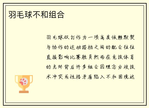 羽毛球不和组合